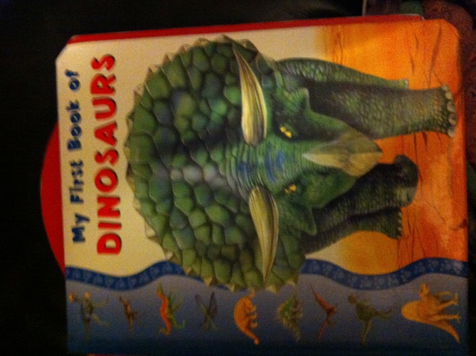 First Dinosaur (Padded Large Learners)