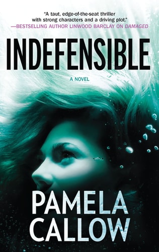 Indefensible (A Kate Lange Novel)