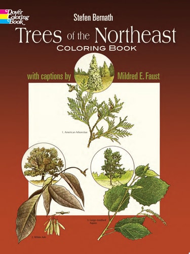 Trees of the Northeast Coloring Book (Dover Nature Coloring Book)