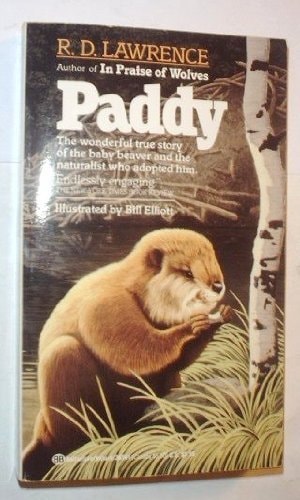 Paddy