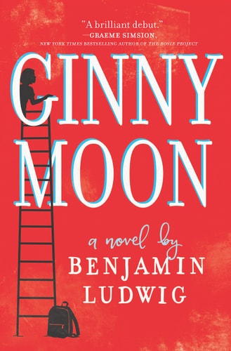 Ginny Moon: A Novel