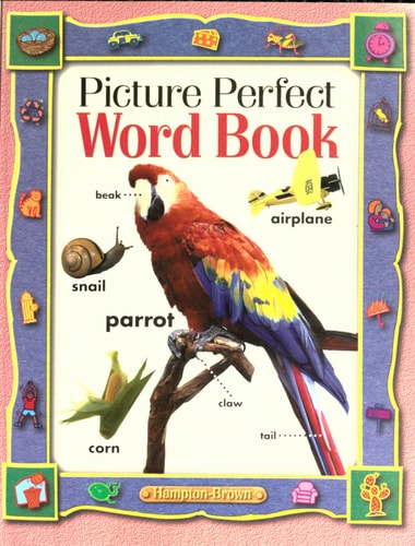 Picture Perfect Word Book (Alphachant Phonics)