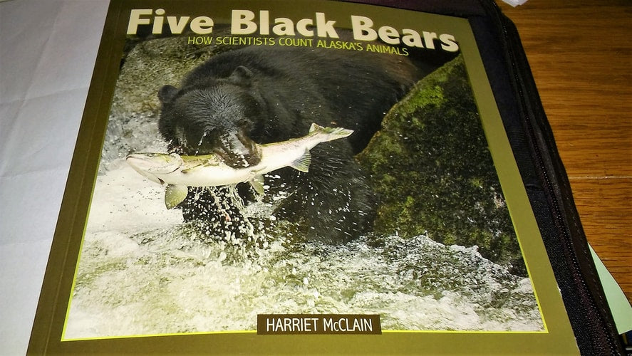 Five Black Bears, How Scientists Count Alaska's Animals