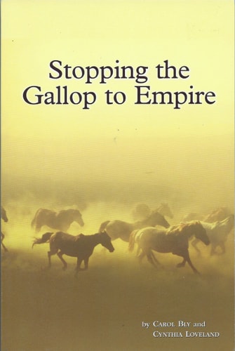 Stopping the Gallop to Empire