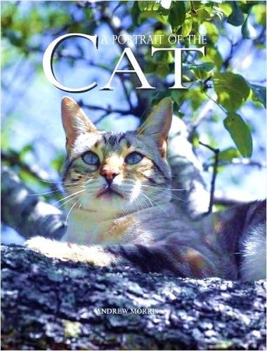 A Portrait of the Cat