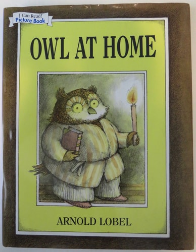 Owl at Home