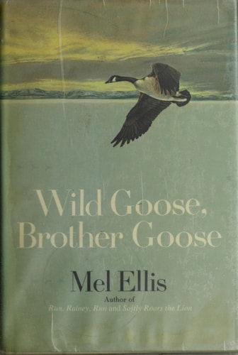 Wild goose, brother goose,