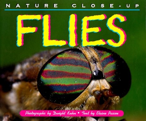 Nature Close-Up - Flies