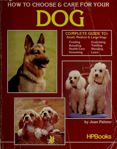 How to Choose & Care for Your Dog