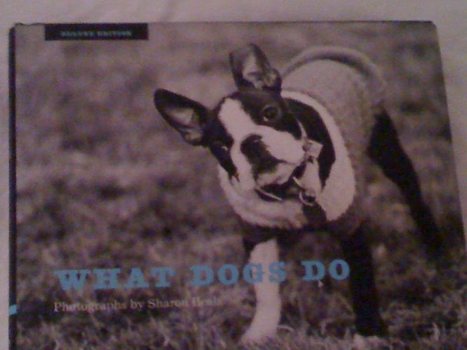 What Dogs Do