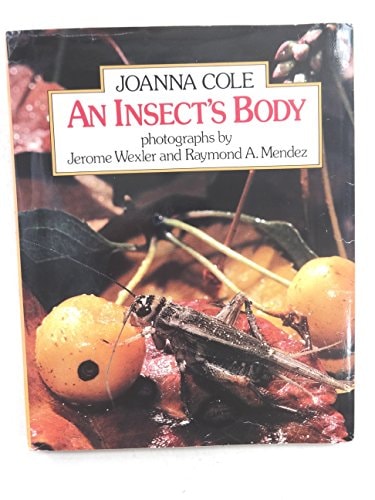 An Insect's Body