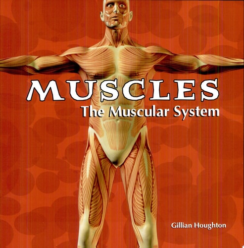 Muscles: The Muscular System (Body Works)