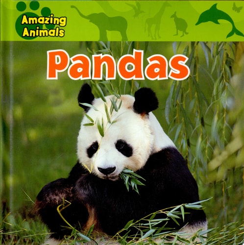 Pandas (Amazing Animals)