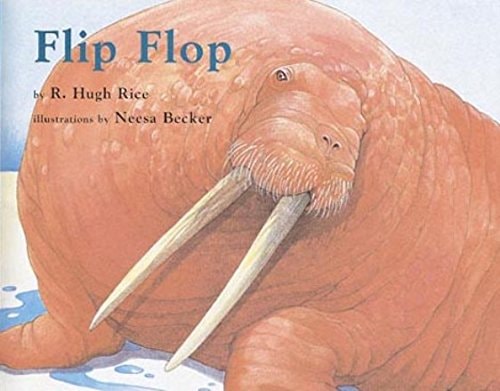 Flip Flop (Books for Young Learners)