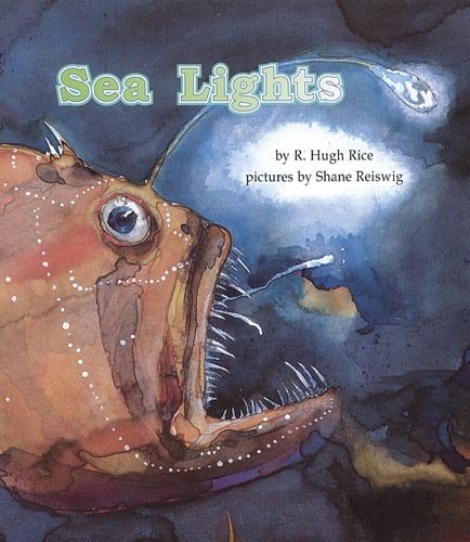 Sea Lights (Books for Young Learners)
