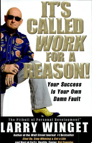 It's Called Work for a Reason!: Your Success Is Your Own Damn Fault