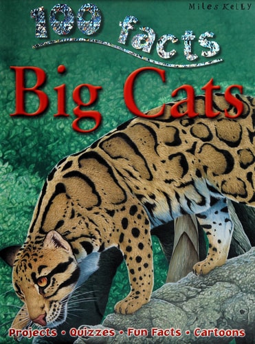 Big Cats