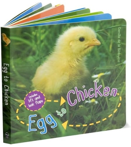 Egg to Chicken