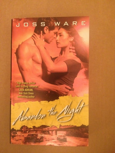 Abandon the Night: Envy Chronicles Book 3