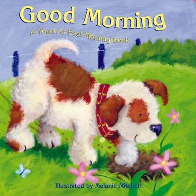Good Morning: A Touch & Feel Morning Book