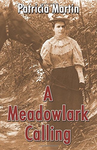 A Meadowlark Calling