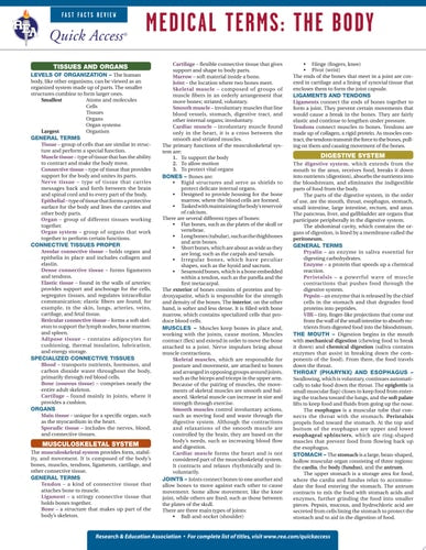 Medical Terms: The Body - REA's Quick Access Reference Chart (Quick Access Reference Charts)