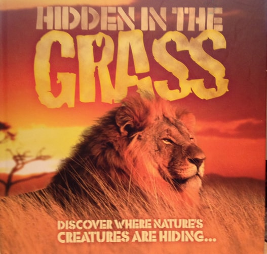 Hidden in the Grass: Discover Where Nature's Creatures Are Hidden