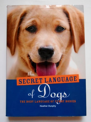The Secret Language of Dogs The Body Language of Furry Bodies
