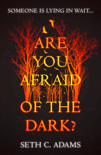 Are You Afraid of the Dark?: A tense, gripping new crime thriller which will keep you on the edge of your seat!