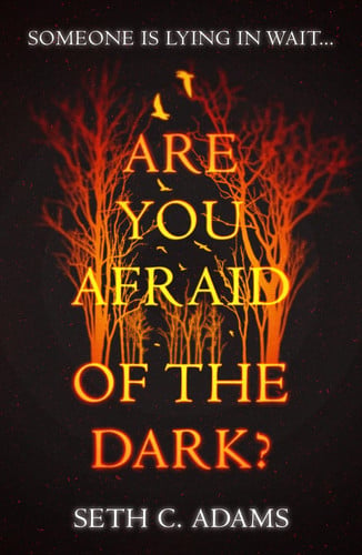 Are You Afraid of the Dark?: A tense, gripping new crime thriller which will keep you on the edge of your seat!
