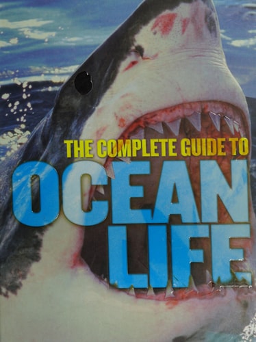 Ocean Life