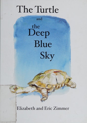 The Turtle and the Deep Blue Sky