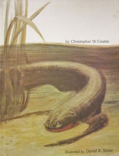 The Electric Eel