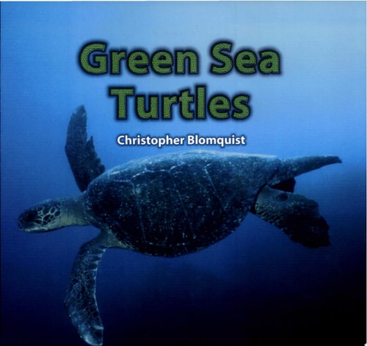Green Sea Turtles