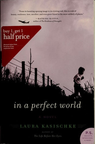 In a Perfect World: A Novel