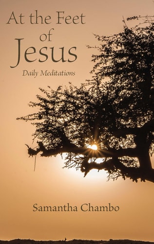 At the Feet of Jesus: Daily Meditations