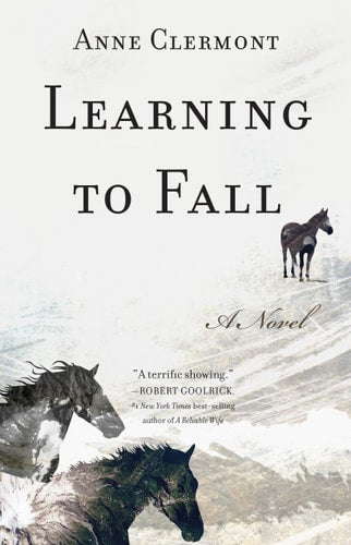 Learning to Fall: A Novel