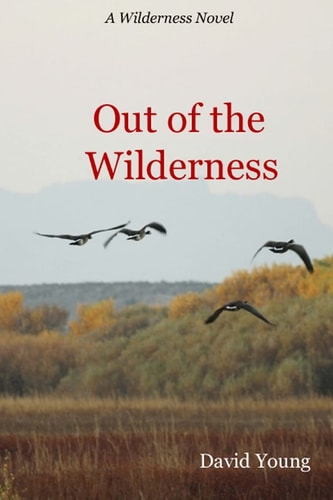 Out of The Wilderness (The Wilderness Series)