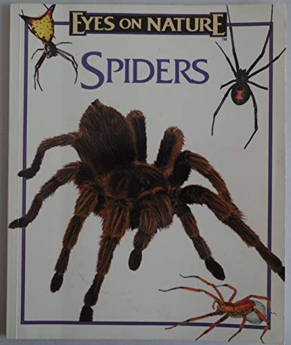 Spiders Eyes On Nature