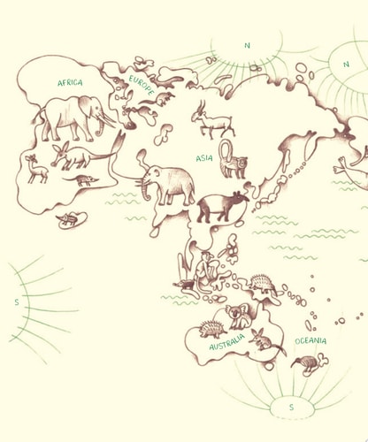 Genius Noses: A Curious Animal Compendium (Genius Animals)