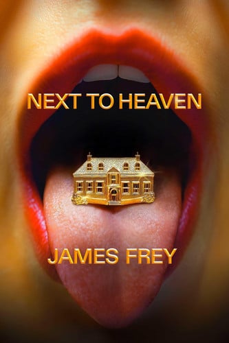 Next To Heaven A Novel