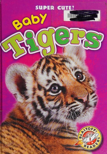 Baby Tigers (Super Cute!)