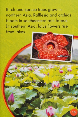 Asia (Discover the Continents)