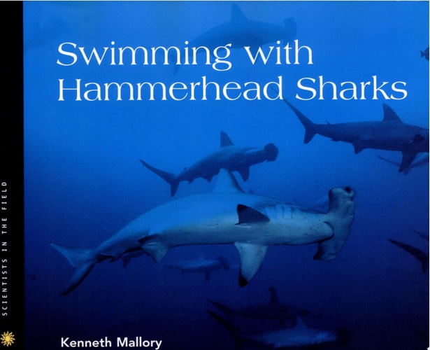 Swimming with Hammerhead Sharks