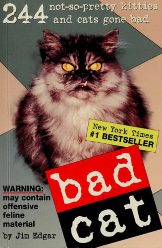 Bad Cat: 244 Not-So-Pretty Kitties and Cats Gone Bad