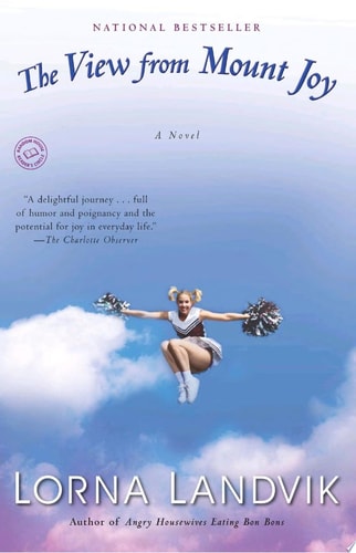 The View from Mount Joy: A Novel