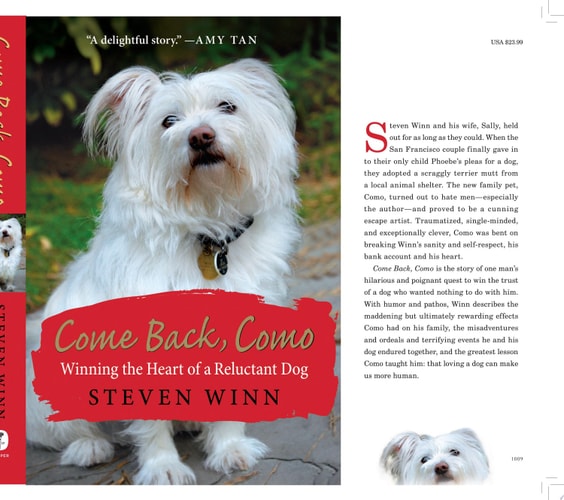 Come Back, Como: Winning the Heart of a Reluctant Dog