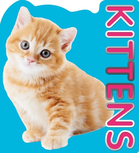 Kittens