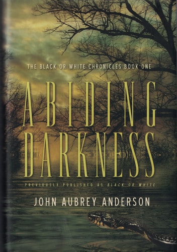 Abiding Darkness (The Black or White Chronicles Series)