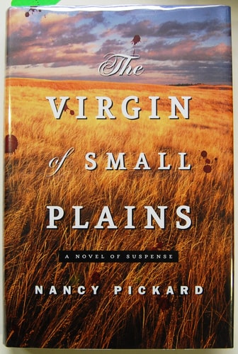 The Virgin of Small Plains: A Novel of Suspense